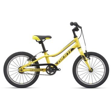 Детский велосипед Giant ARX 16 F/W 16" 2021